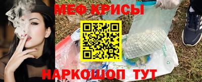 бошки Кингисепп