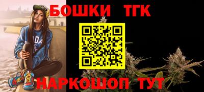 бошки Кингисепп
